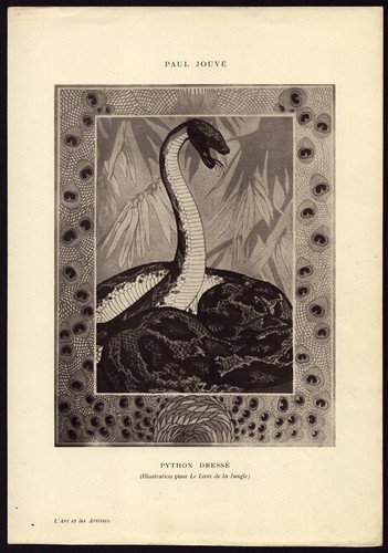 Paul jouve python dressé - jouve.,