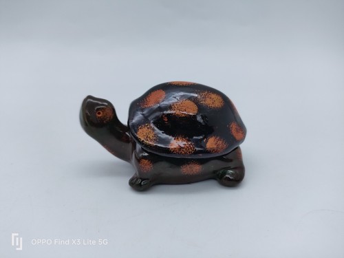 Petite boite tortue - , terre