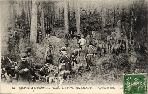 Chasse courre forêt - courre,
