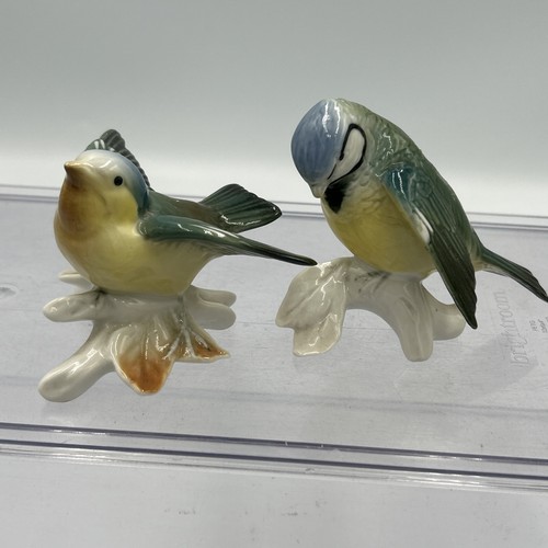 Pair karl ens blue tit - blue,