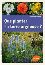 Que planter en terre argileuse
