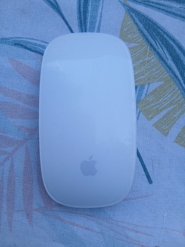 Souris apple mouse - mouse, 2