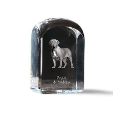Bordeauxdogge, Dogue de