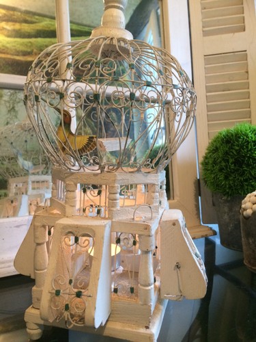 Cage oiseaux - ,