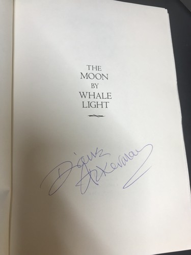 The moon whale light - the,