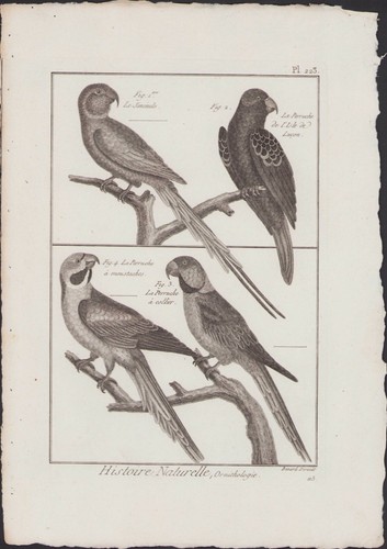 1790 buffon bonnaterre - ✒,