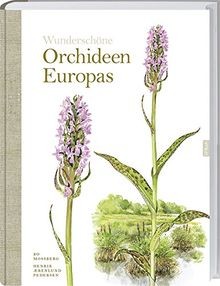 Orchideen europas bo - orchideen,