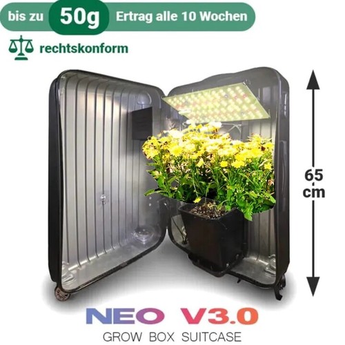 Bonsanto neo mini - 3.0,