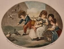 Grande estampe aquarellée "Les Pigeons" signée W. Hamilton & J. Barney