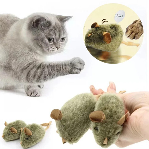 Jouet interactif pour chat - interactif,