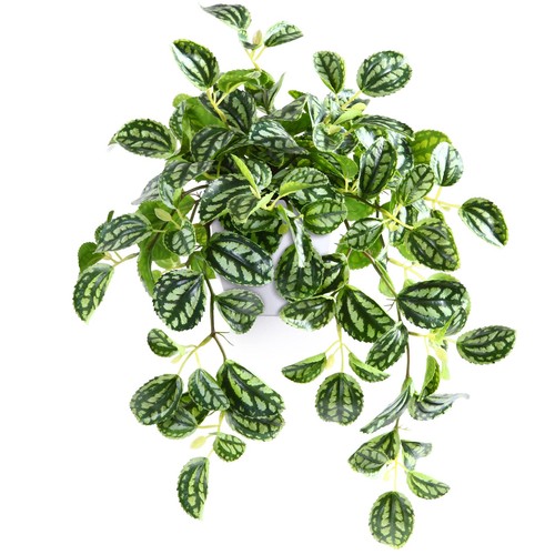 Fake plants inch - fake, artificial