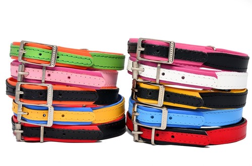 Cuir fait main - chiot, col