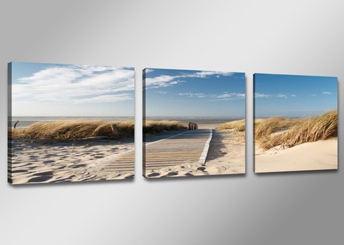 Images sur toile - , cadre