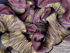 Très jolie Echarpe Plissée