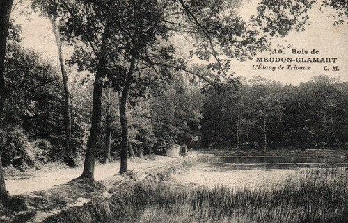 Cpa bois de - cpa,
