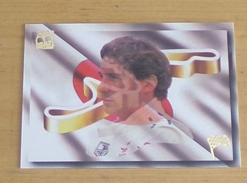 1995 104 ayrton senna - 1995,