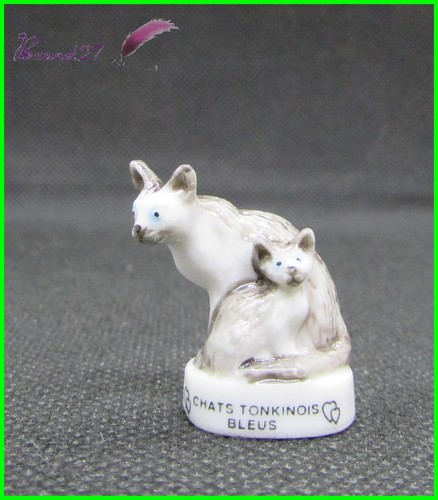Feve les races chat cat - chat,