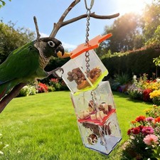 Jouet Interactif Transparent