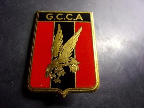Parachutistes gcca groupe - parachutistes,