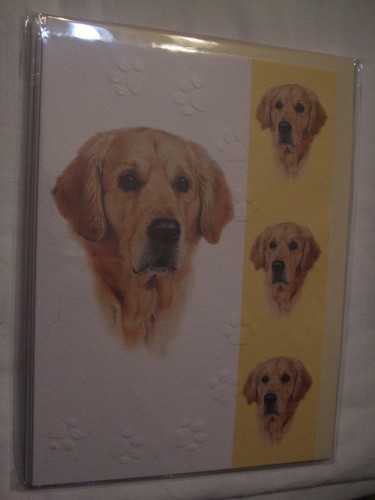 Carte enveloppe chien - carte,