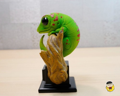 Natural history mini series - mini,
