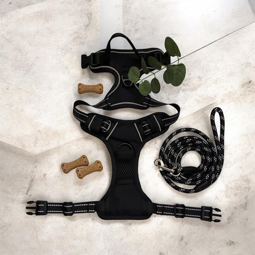 Set harnais chien laisse - set,