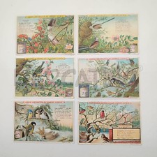 Figurine LIEBIG 1899 N 598