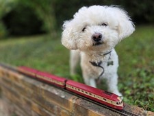 train électrique ho rame