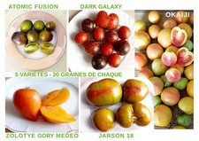 Graines tomates rares 5