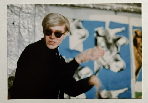 Andy warhol carton - ,