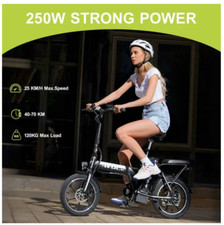 Vélo Électrique Pliable 16 Pouces 250W Batterie Amovible 25km/h, 11.4Ah/36V