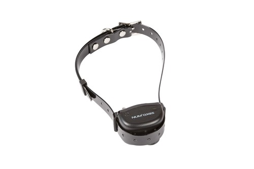 Collier anti aboiement - collier, anti-aboiement