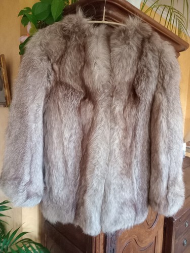 Veste renard bleu taille - veste,