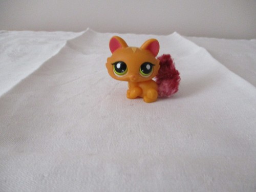 Petshop chat cat sphynx - petshop,