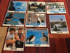 SAUVEZ WILLY - Jason James