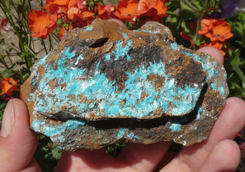 Aurichalcite fibreuse 9x5cm - fibreuse,