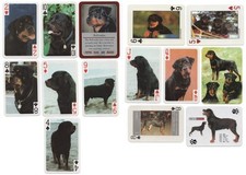 ROTTWEILER  COLLECTION OF VINTAGE SINGLE DOG COLLECTABLE PLAYING CARDS