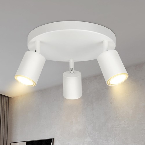 Plafonnier spot orientable - spot,