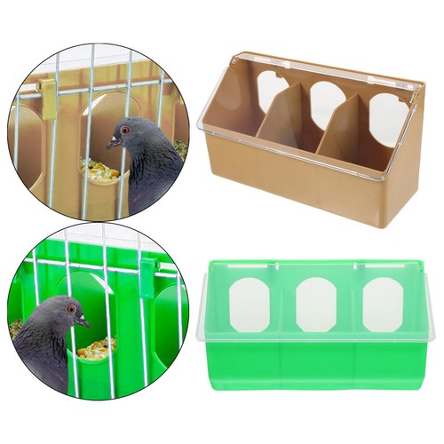 Mangeoire pour pigeons - pour,
