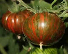 Chocolate Striped Beefsteak - Striped Tomato 5+ Seeds - Seeds Graines P 046