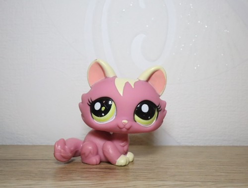 Littlest petshop cat - cat, sphynx