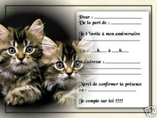 5 ou 12 cartes invitation