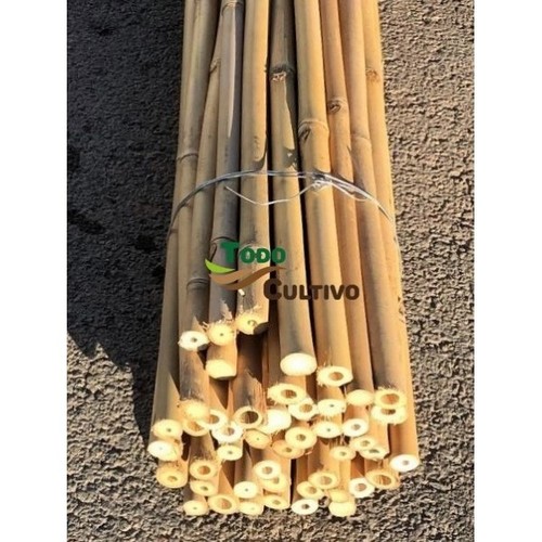 Tuteur bambou thaïlandais 5 - thaïlandais, 1,5