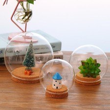 Terrarium décoratif en bois