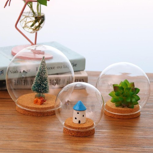 Terrarium décoratif bois - terrarium,