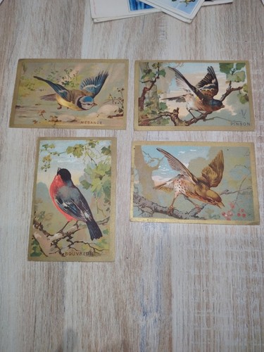 Lot chromos oiseaux anciens - lot,