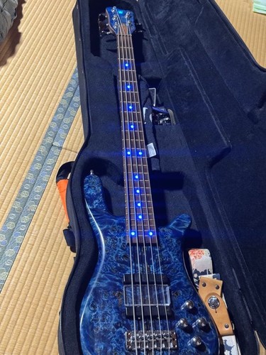 Guitare basse électrique