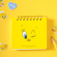 Mini ordinateur portable Looney Tunes 100 feuilles