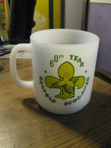 Boy scouts camp ontario - boy, 1971