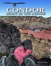 NEW - Condor: Spirit of the Canyon